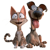 Quirky dog and cat
